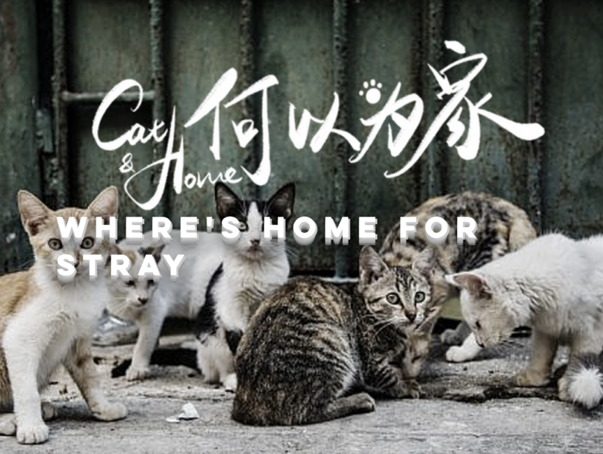 df7781cb0606406c8ec61eb409416e40.png 大赛图片 7.png