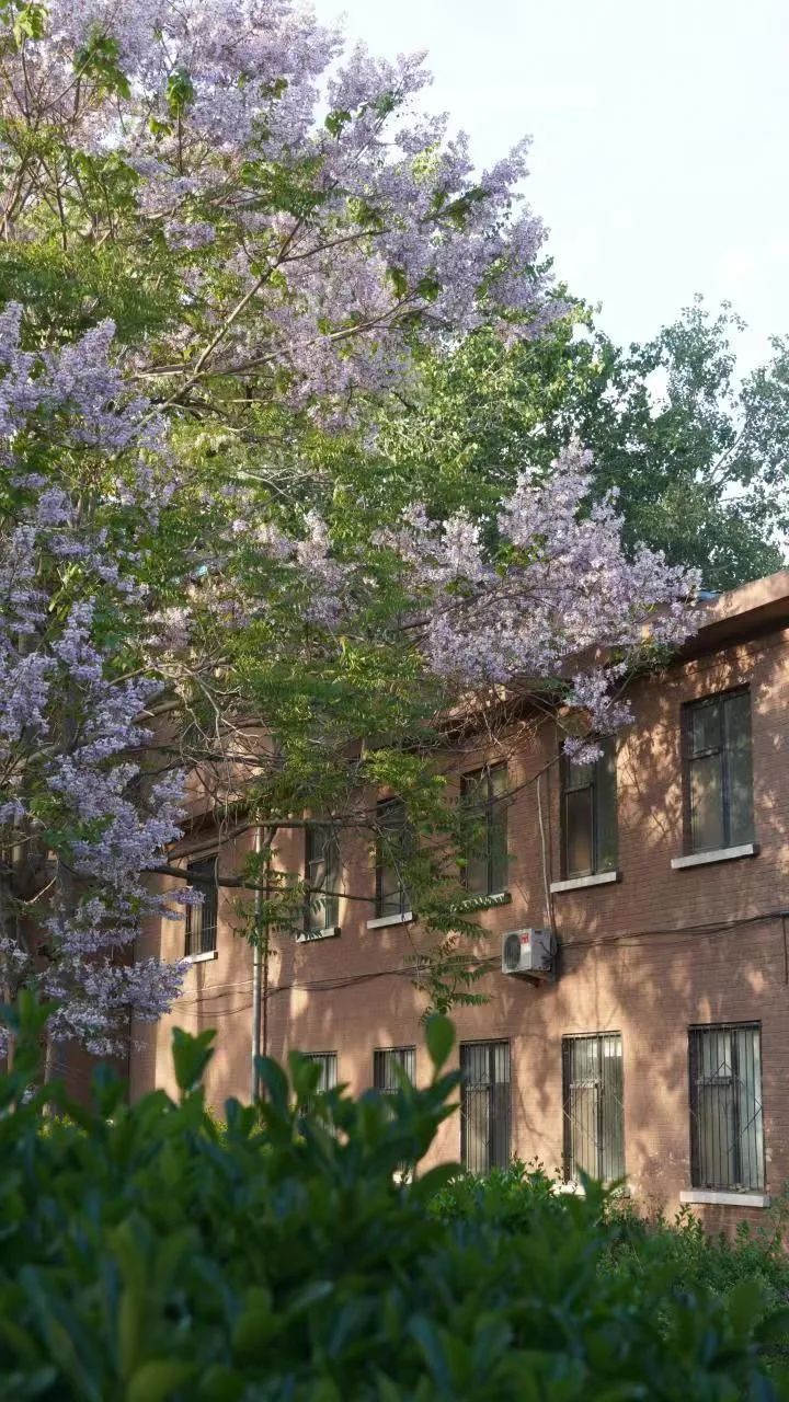 2d0690969ab84976b6fd84de30ea692f.jpg 999b48f97d45b39.jpg