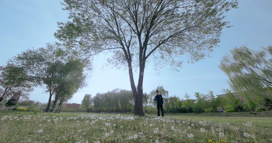 6e0b7594208c4b25bc1a11422125922e.jpg 3333a30f084a788ac353d9507c6.jpg